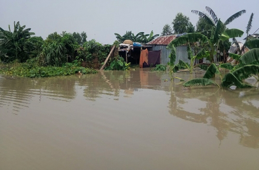 টাঙ্গাইলের বন্যা পরিস্থিতি